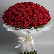 Букет 101 Красная роза Блэк Мэджик в Каспийске