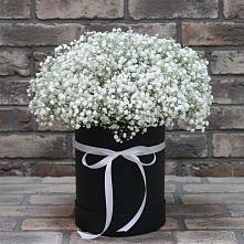 Цветочная композиция из Гипсофила в шляпной коробке в Каспийске