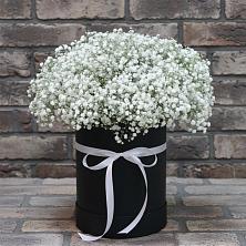 Цветочная композиция из Гипсофила в шляпной коробке в Каспийске