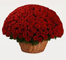 Премиум букет из: Розы в Каспийске